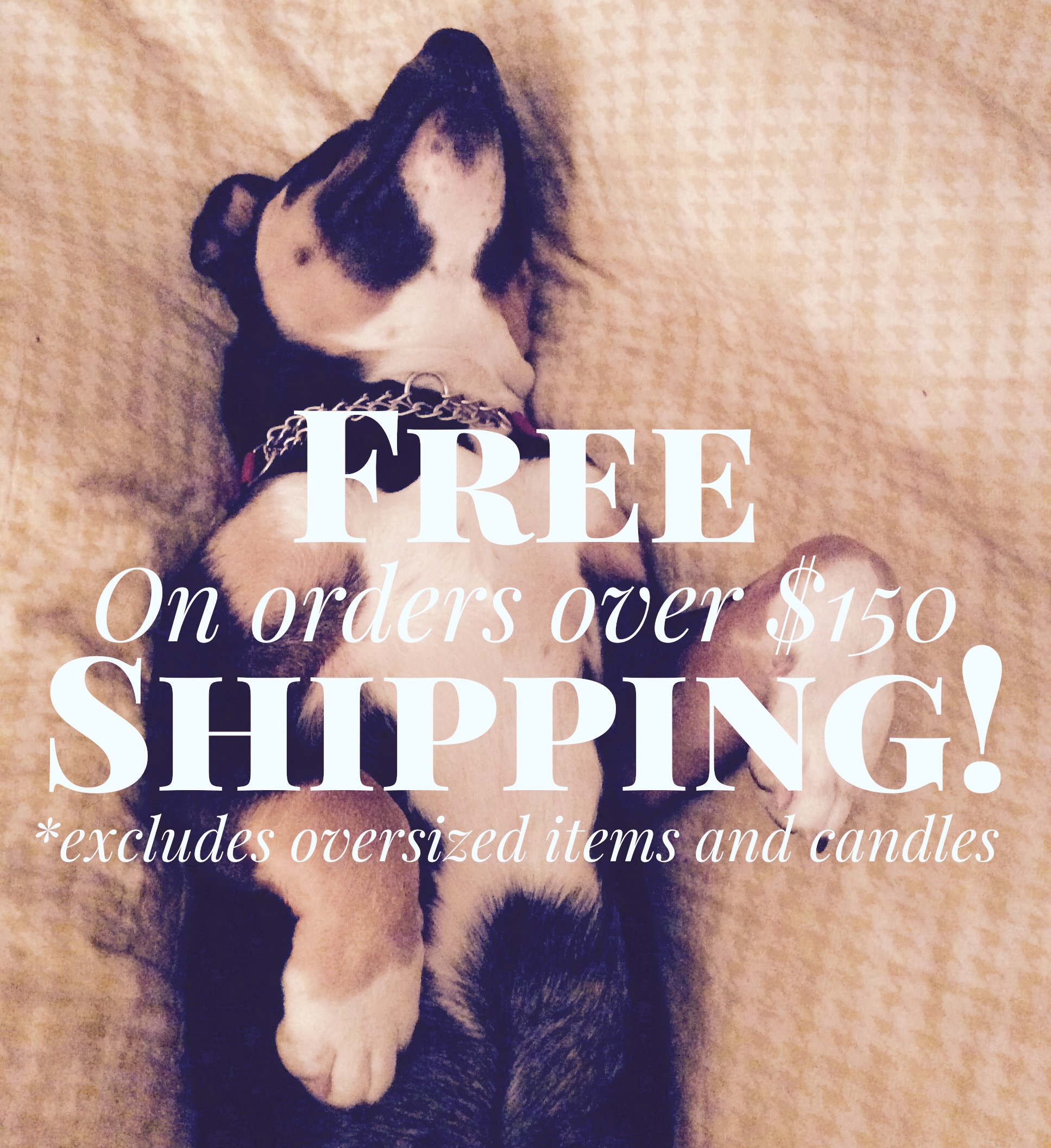 Read more about the article Free Shipping on orders over $150! <br>Enter this coupon code at checkout:  <br>150+freeshipping