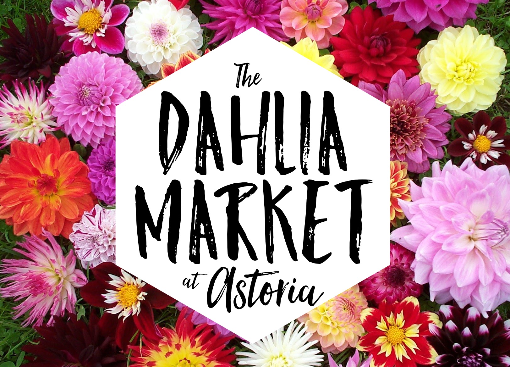 You are currently viewing Join us Tomorrow -This comming Friday, <br> September 2nd, <br> as We Celebrate Dahlia Season! <br><br> Our friend, Jennie, will be bringing <br> lots of beautiful, local dahlias to sell! <br> We also have some great new products <br>including fabric, braided rugs, <br> and seasonal candles! <br><br> Starting at 5pm, come on by and enjoy a refreshing, <br> house-made margarita and see all the new goodies we have in store!